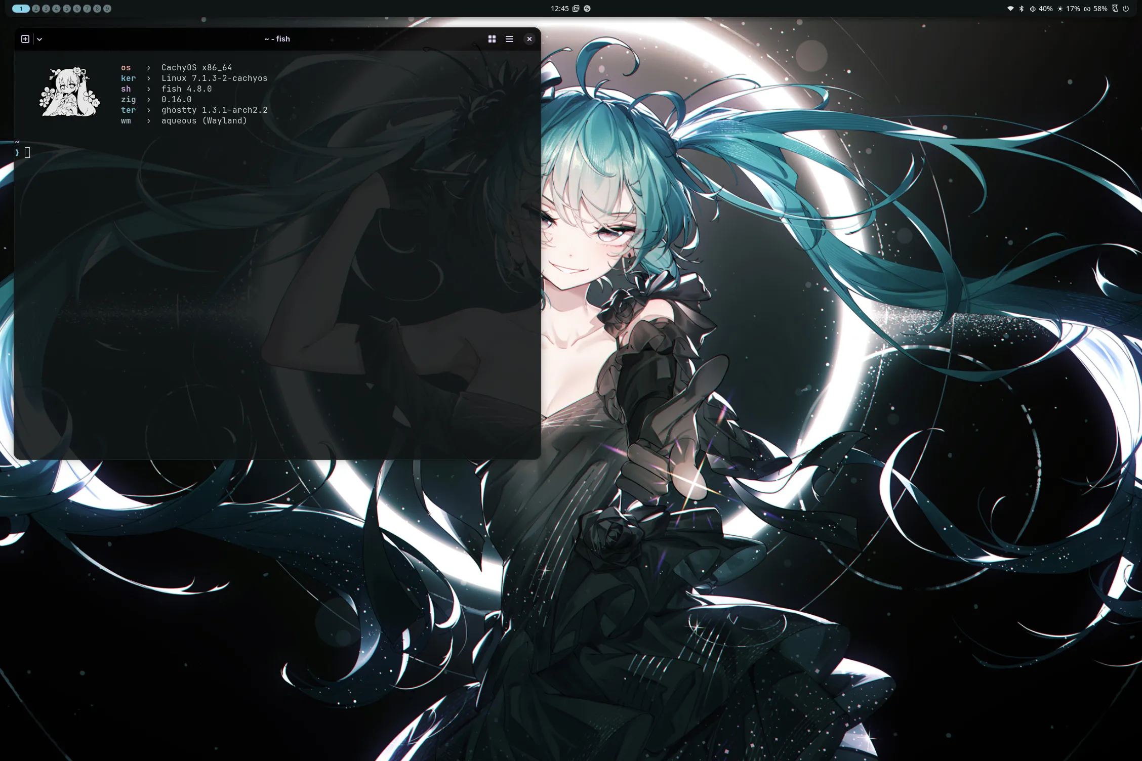 showcase3.png