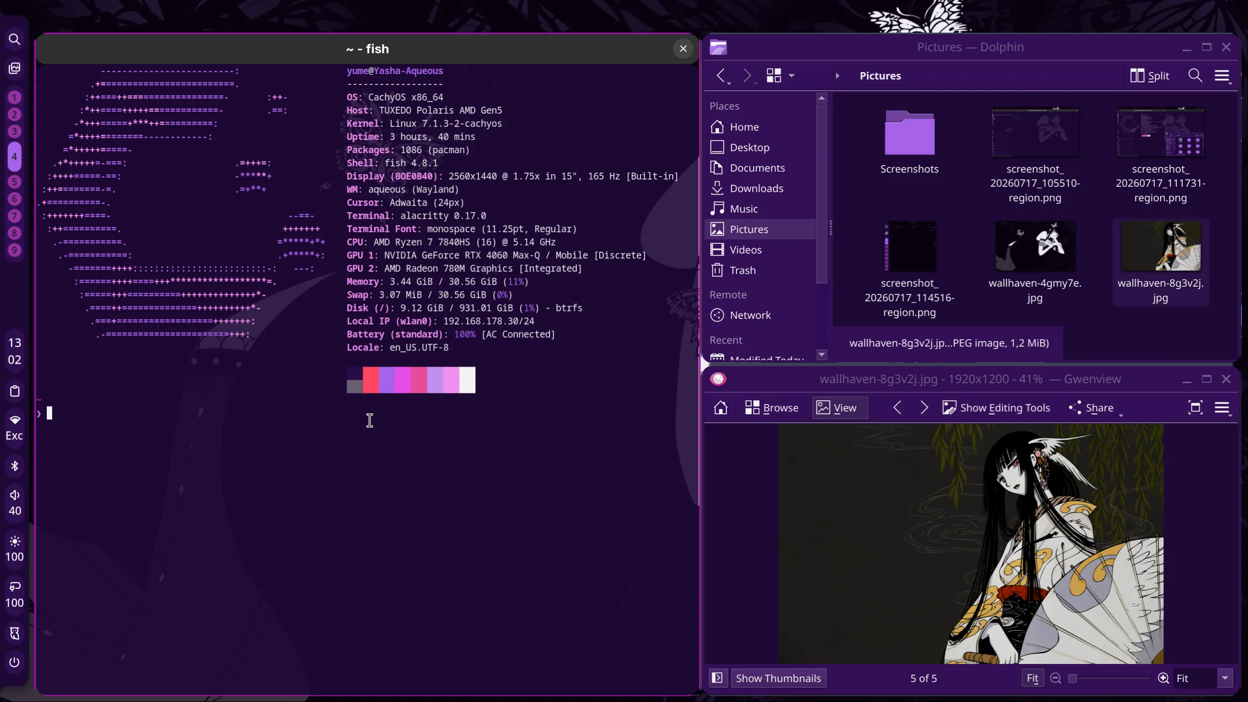 showcase5.png